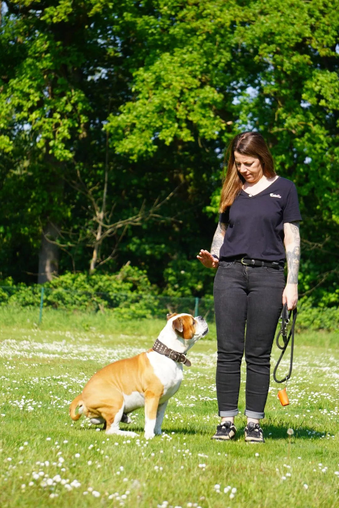Estella Hormes bei der Arbeit mit einem Hund