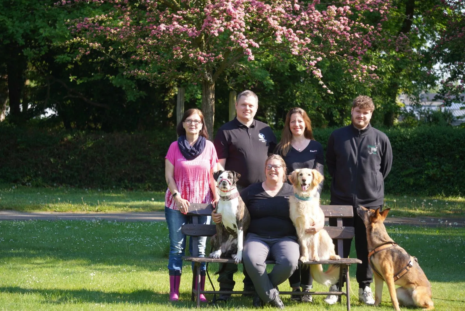Team des Hundezentrums Nettetal mit Hunden auf dem Trainingsgelände