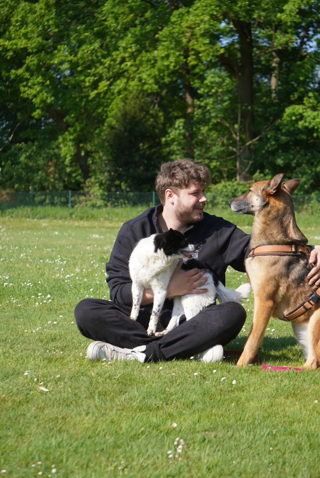 Noah Schröder bei der Arbeit mit einem Hund